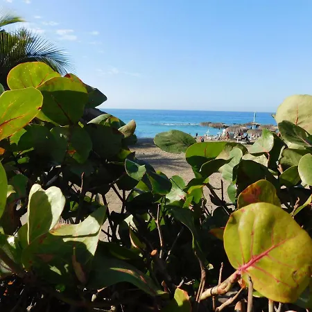 Apartment Brisas Del Mar Costa Adeje (Tenerife)
