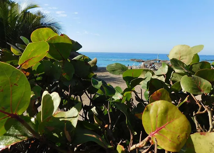 Apartment Brisas Del Mar Costa Adeje (Tenerife)